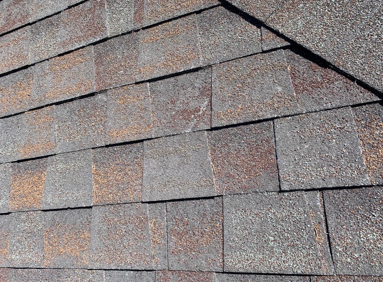 Roof shingle granule loss needing restoration service